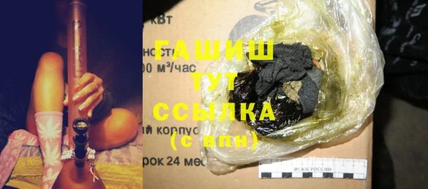 прущие грибы Вязьма