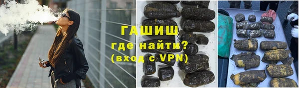 прущие грибы Вязьма
