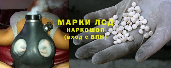 прущие грибы Вязьма