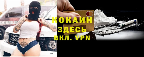 прущие грибы Вязьма