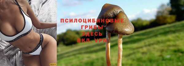 синтетический гашиш Вязники