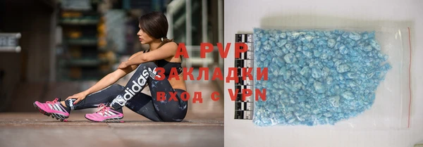 прущие грибы Вязьма