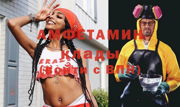 прущие грибы Вязьма
