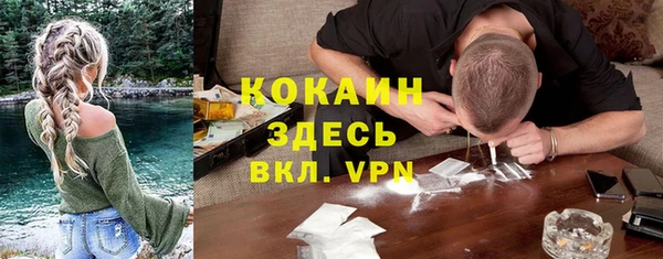 прущие грибы Вязьма