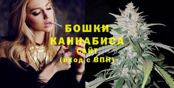 прущие грибы Вязьма