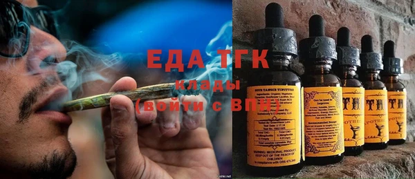 прущие грибы Вязьма