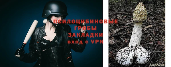 прущие грибы Вязьма