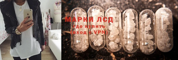 прущие грибы Вязьма