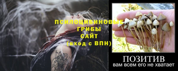 трава Вяземский